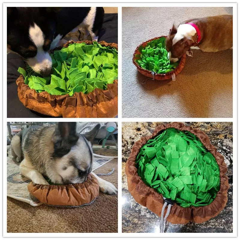 Nonslip Dog Snuffle Mat — Pawsome Pets New York