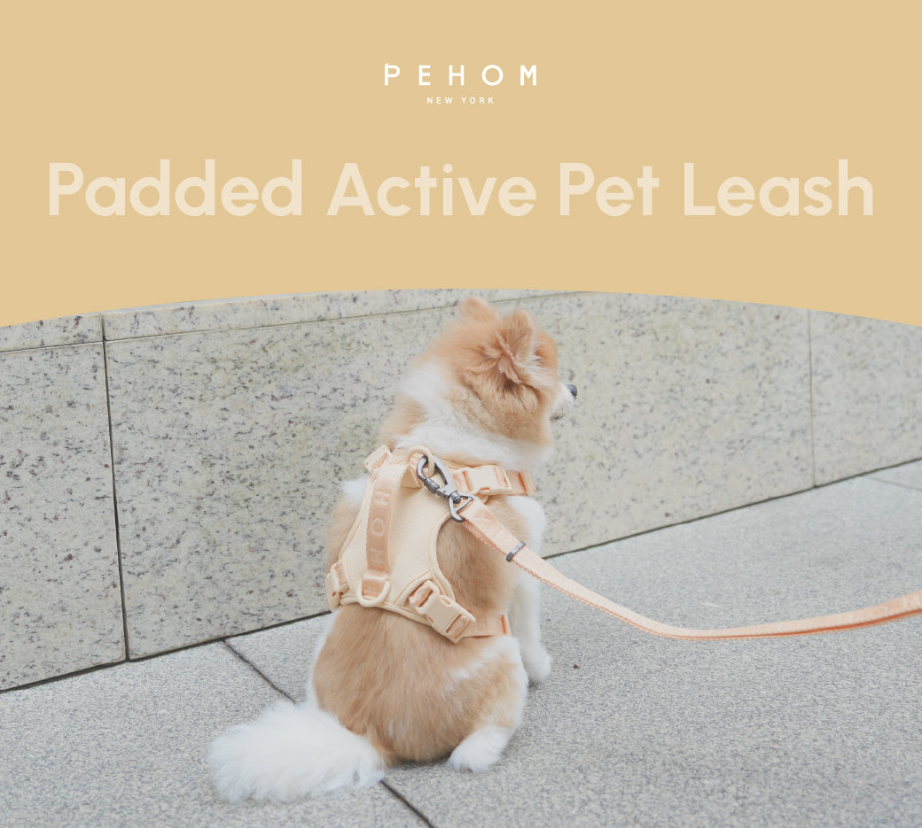 Padded Dog Leash — Apricot