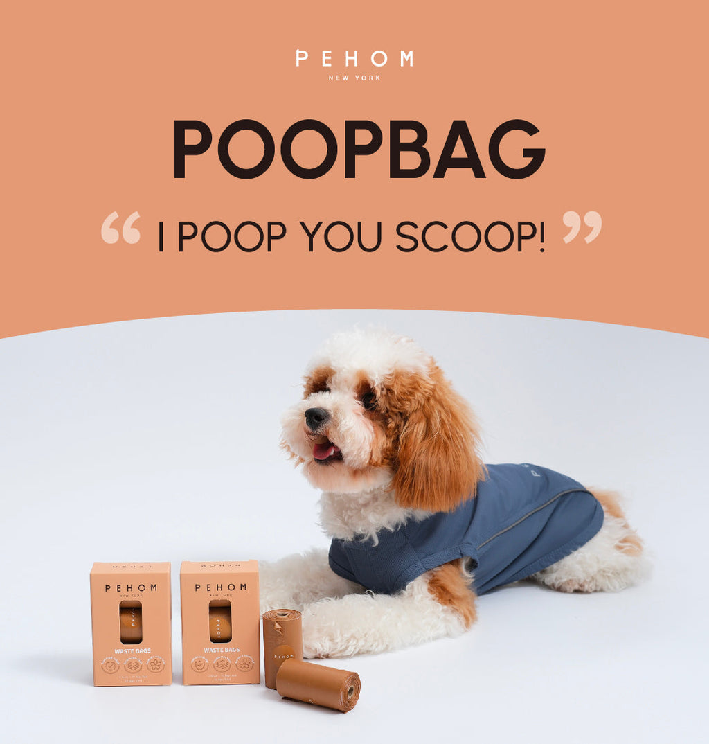 Dog Waste Bag Dispenser or Refill Bags