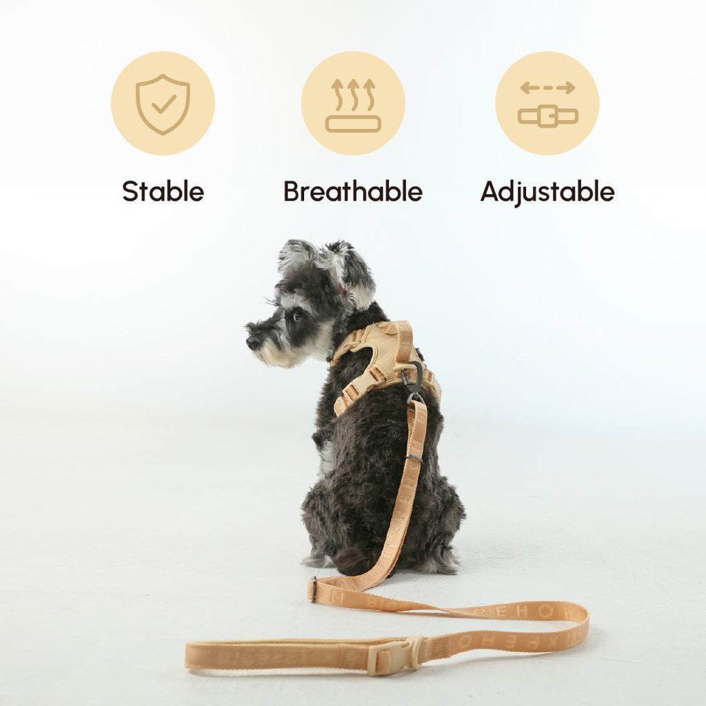 Padded Dog Leash — Apricot