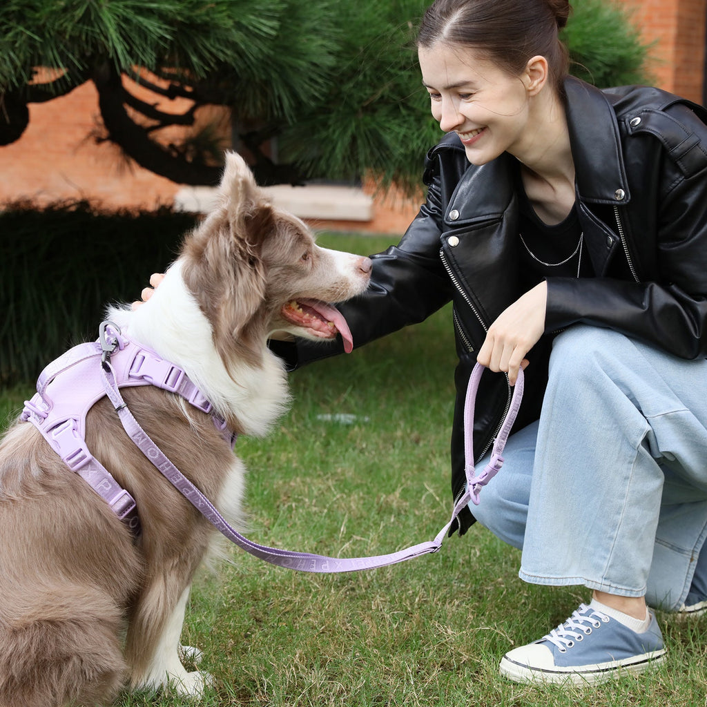 Padded Dog Leash — Apricot
