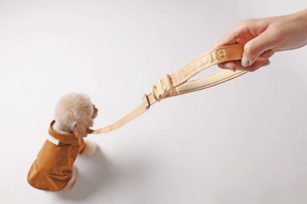 Padded Dog Leash — Apricot