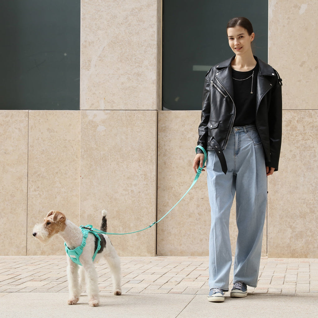 Padded Dog Leash — Apricot