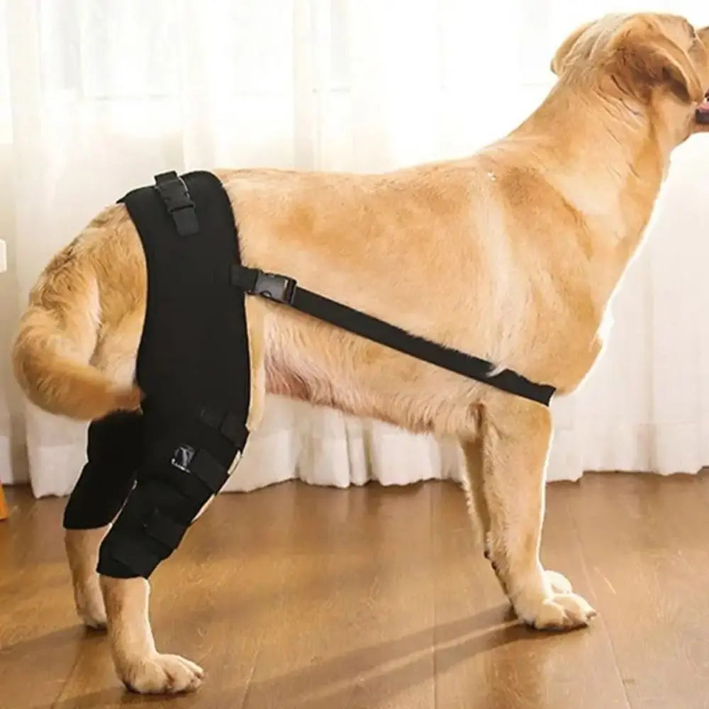 Adjustable Dog Knee & Leg Support Brace