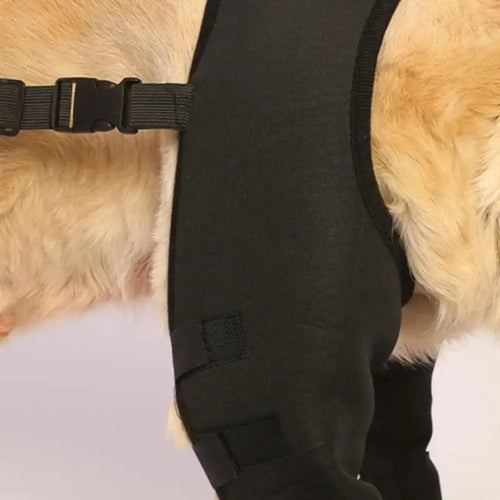 Adjustable Dog Knee & Leg Support Brace