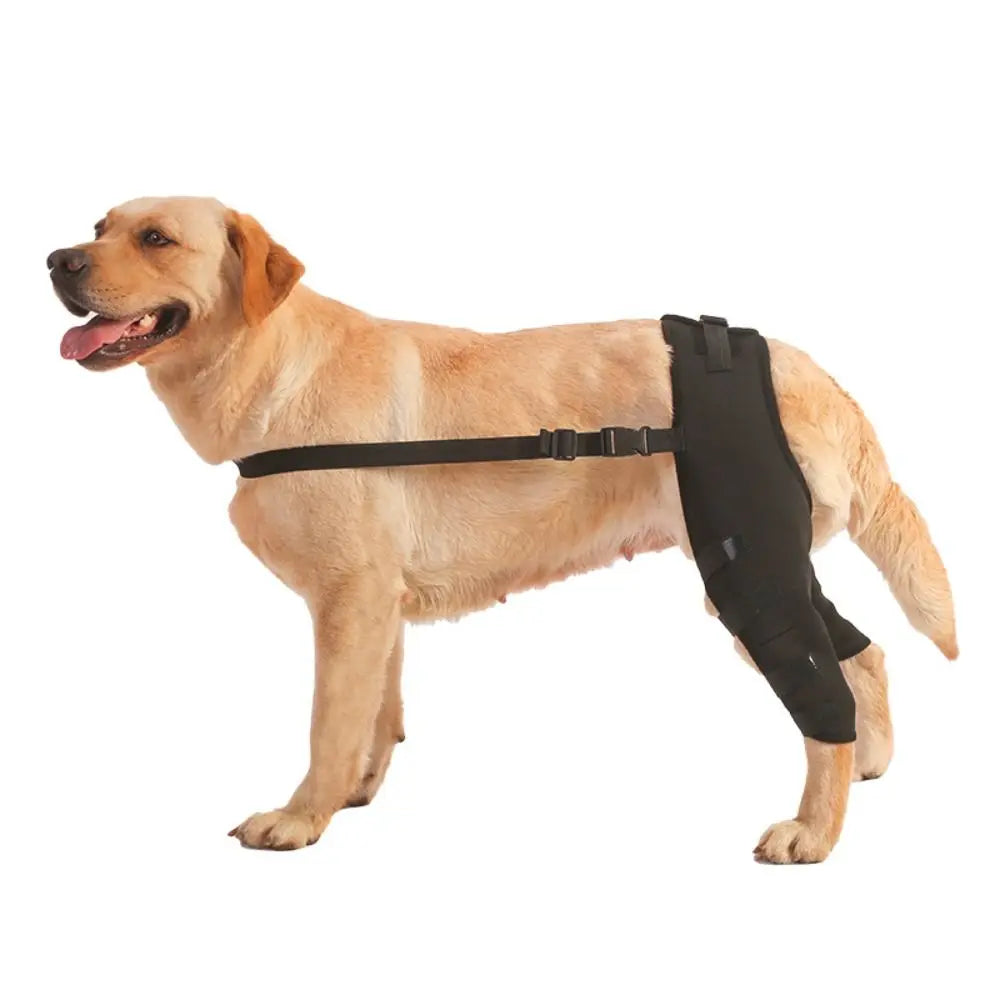 Adjustable Dog Knee & Leg Support Brace
