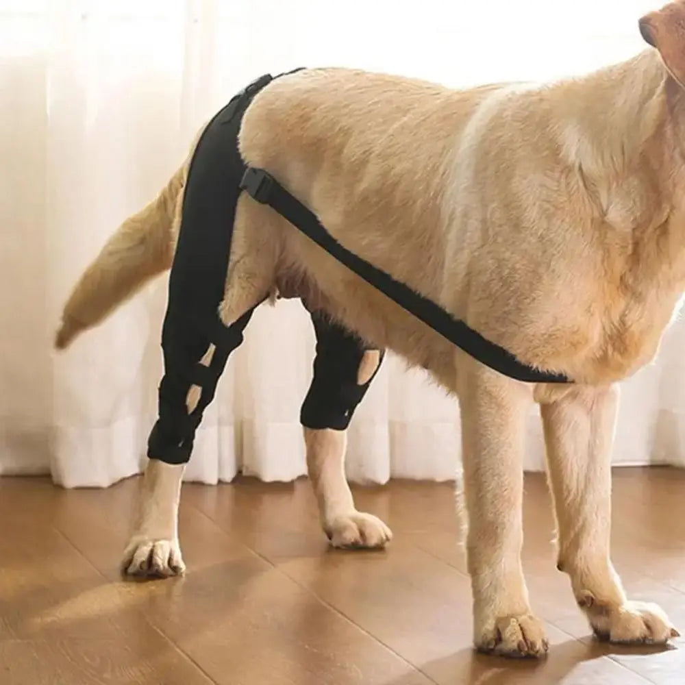 Adjustable Dog Knee & Leg Support Brace