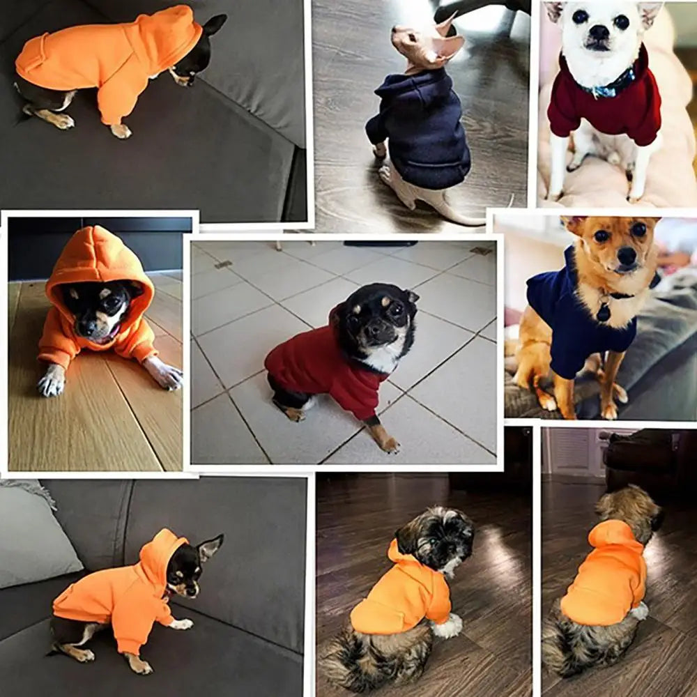 Cozy Fleece Winter Dog Hoodie