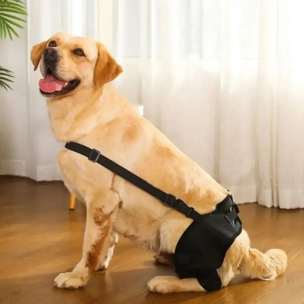 Adjustable Dog Knee & Leg Support Brace